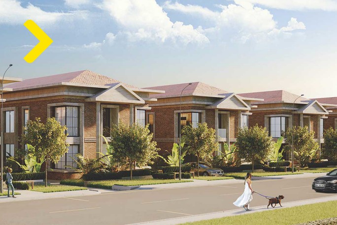 Banner - Marigona Hill